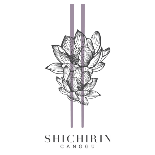 Shichirin Konro Grill - Canggu